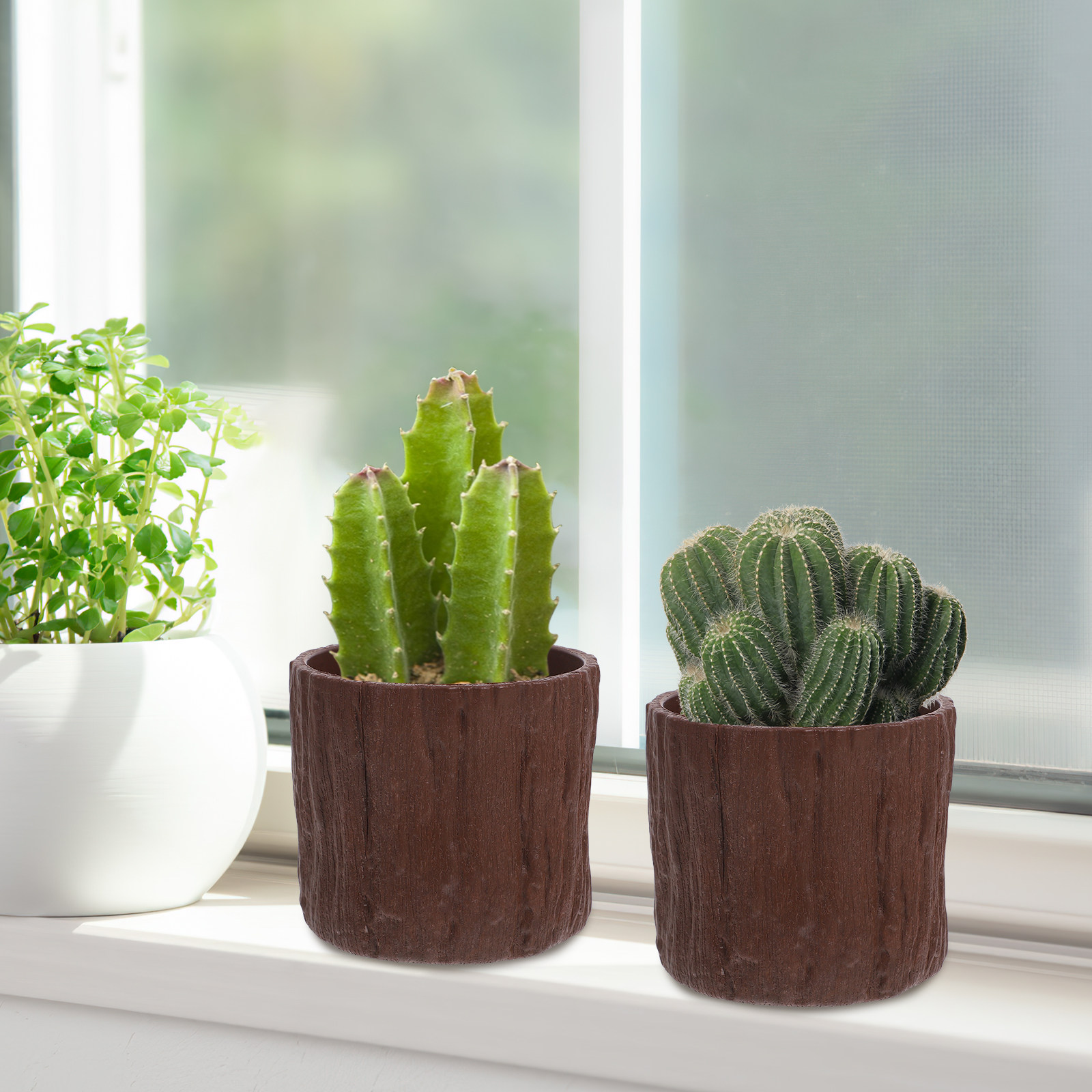 4Pcs Faux Wood Grain Flower Po - đánh giá và giá Succulent Arrangement Mini