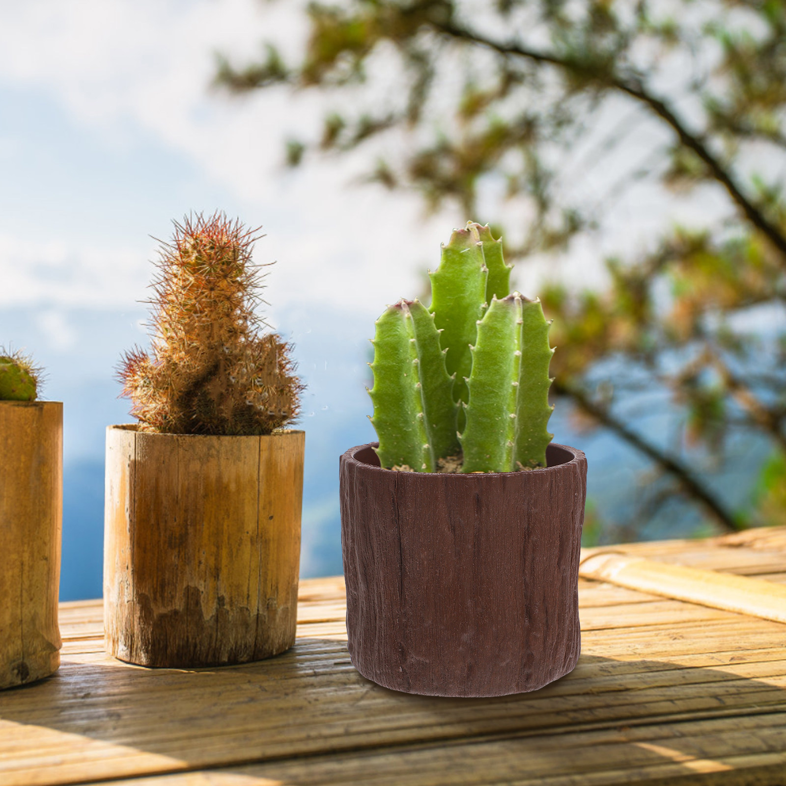 4Pcs Faux Wood Grain Flower Po - đánh giá và giá Succulent Arrangement Mini