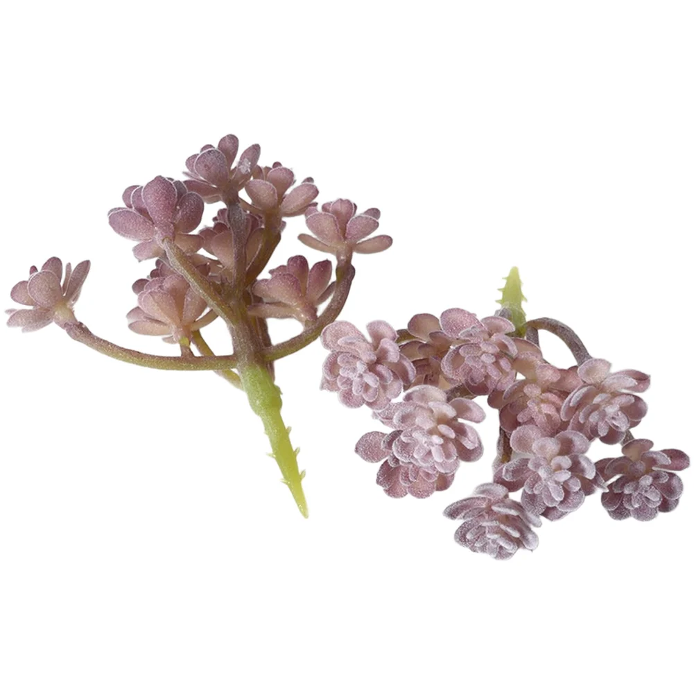 PVC Flocked Purple Fake Succul - đánh giá và giá Succulent Arrangement Mini