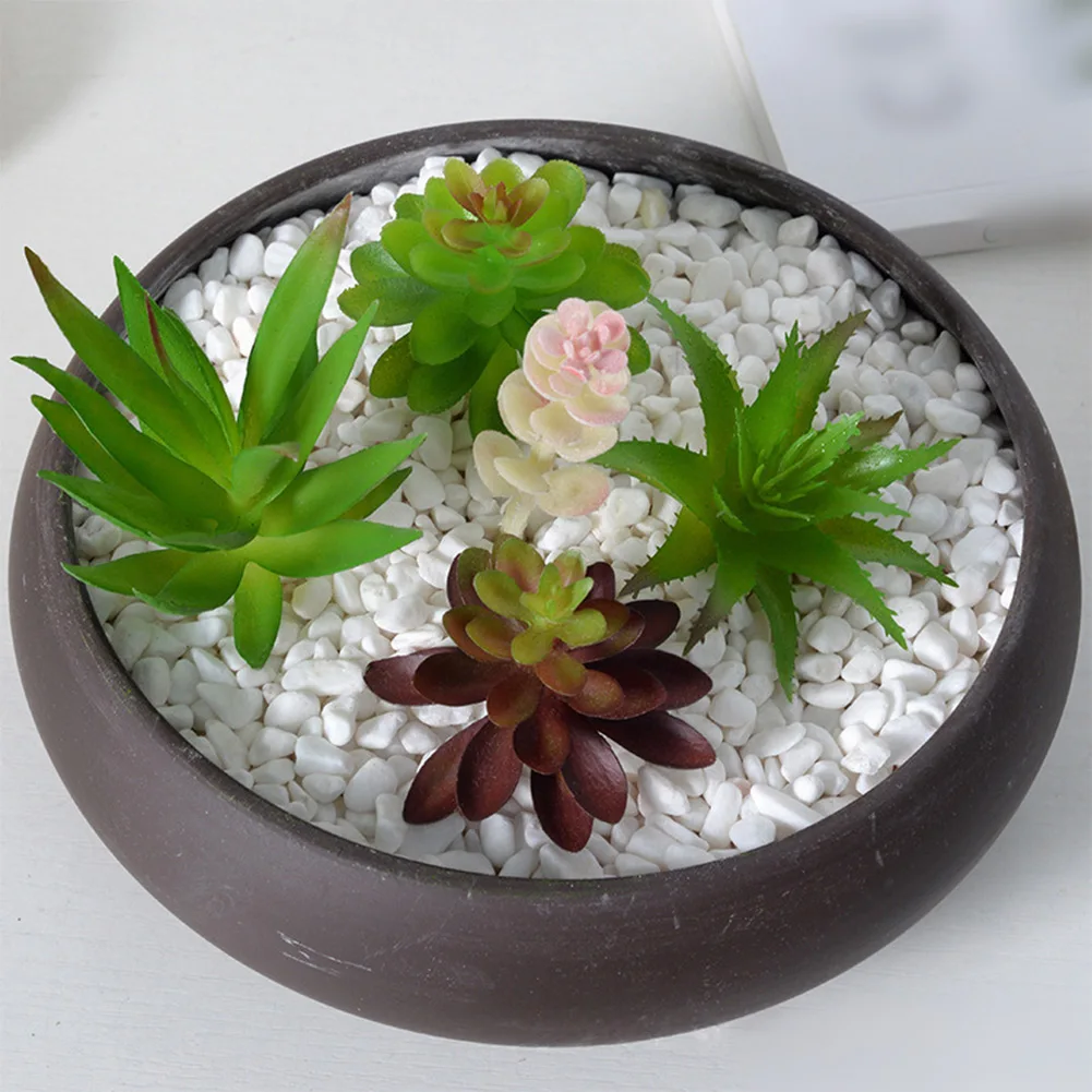 Low Upkeep For Mini Bonsai Suc - đánh giá và giá Succulent Arrangement Mini