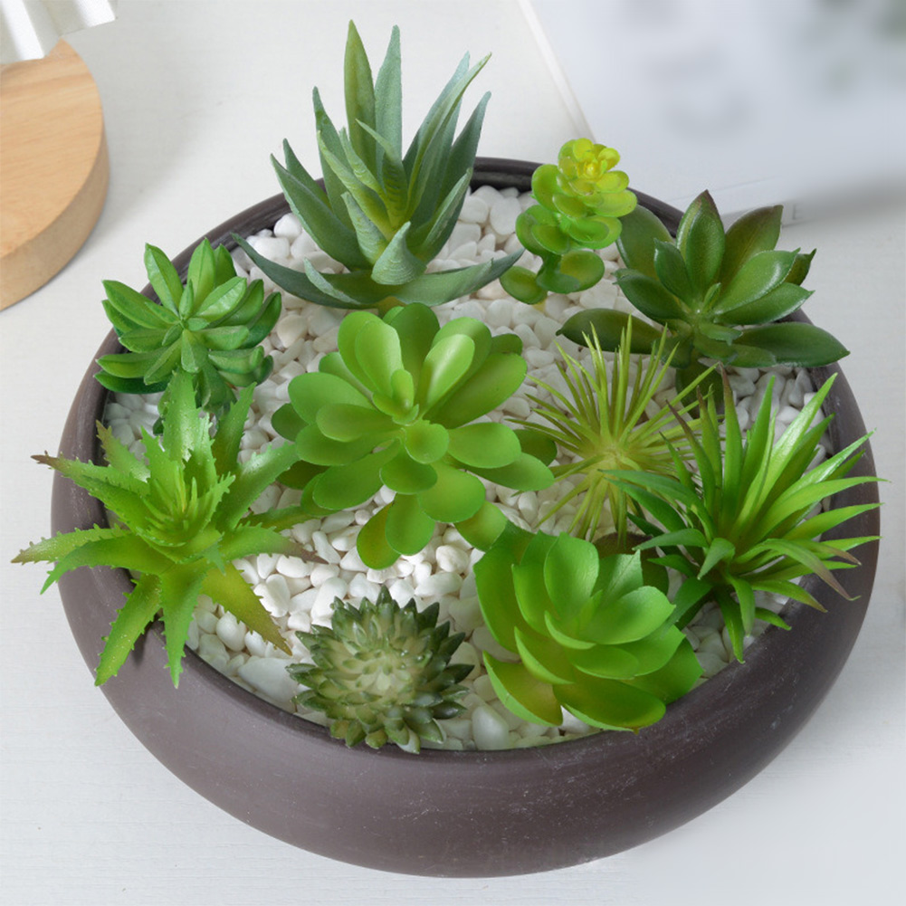 For Mini Bonsai Artificial Suc - đánh giá và giá Succulent Arrangement Mini