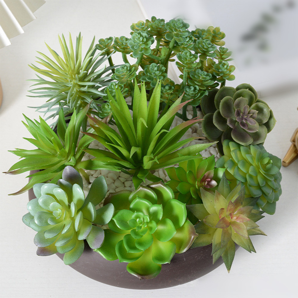 Photography Prop Friendly For  - đánh giá và giá Succulent Arrangement Mini